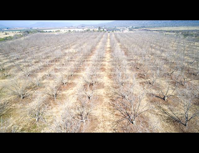 31HA FARM FOR SALE IN WEENEN